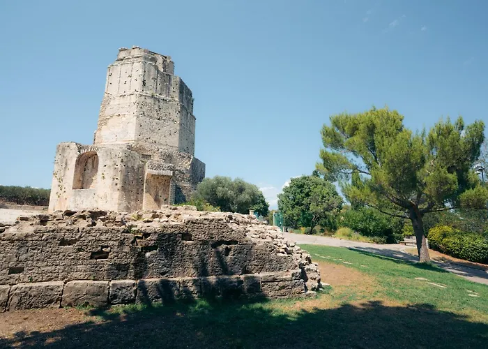 Le Petit Colbert Yourhosthelper Nîmes
